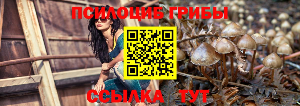 Псилоцибиновые грибы ЛСД Киров