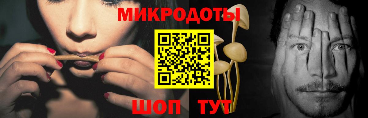Киров  Галлюциногенные грибы Psilocybe  Вход с VPN 