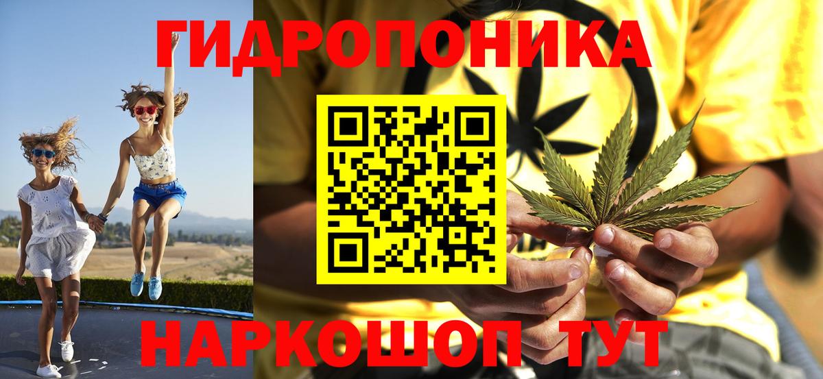 Канабис конопля Киров